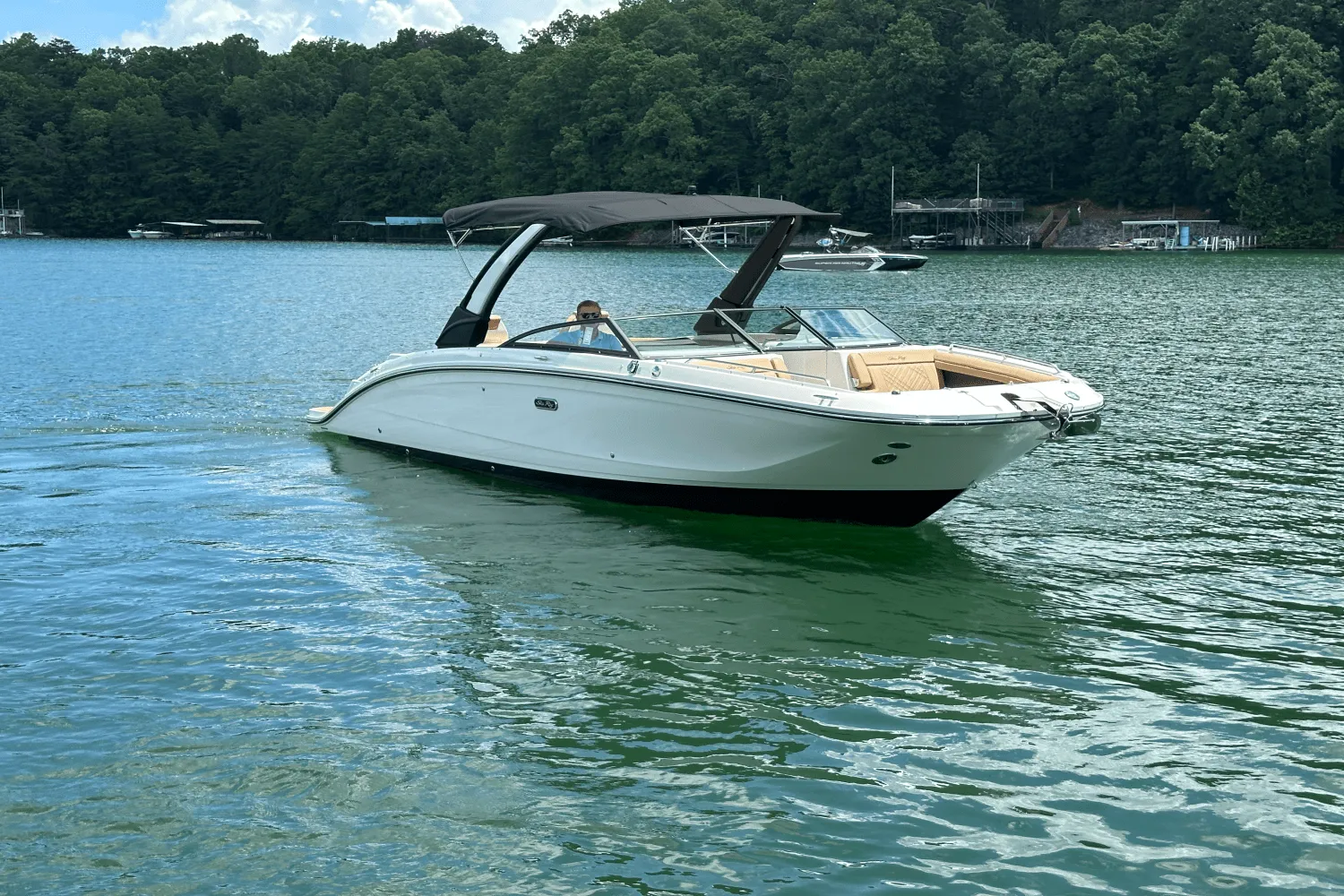 2026 Sea Ray SDX 290 Image Thumbnail #10