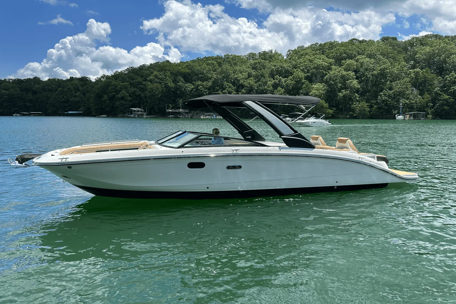 2026 Sea Ray SDX 290 Image Thumbnail #17