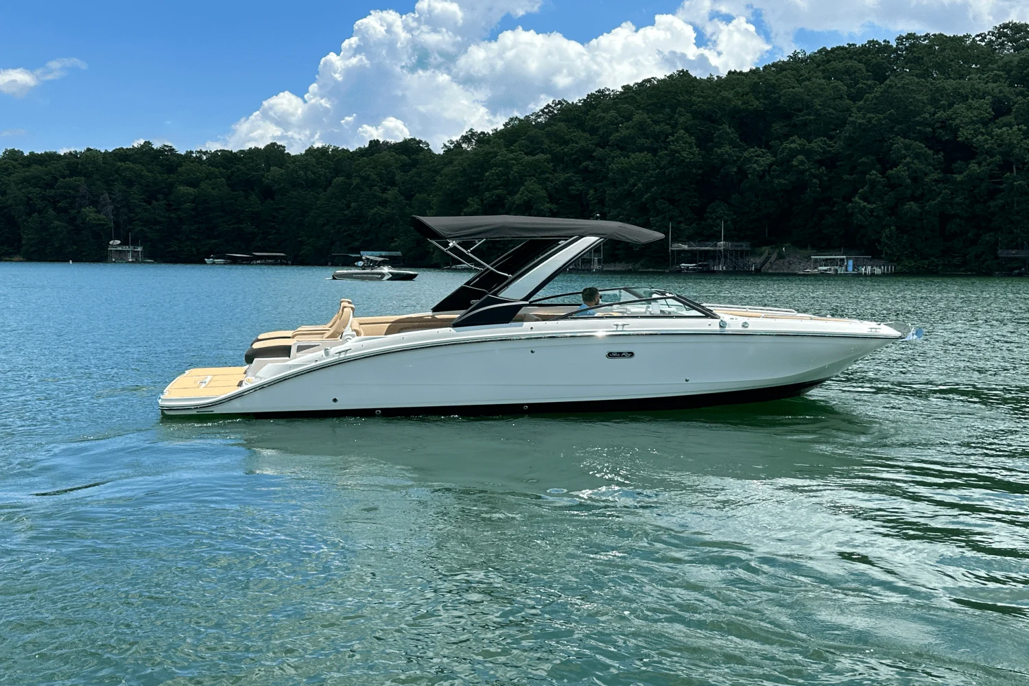 2026 Sea Ray SDX 290 Image Thumbnail #8