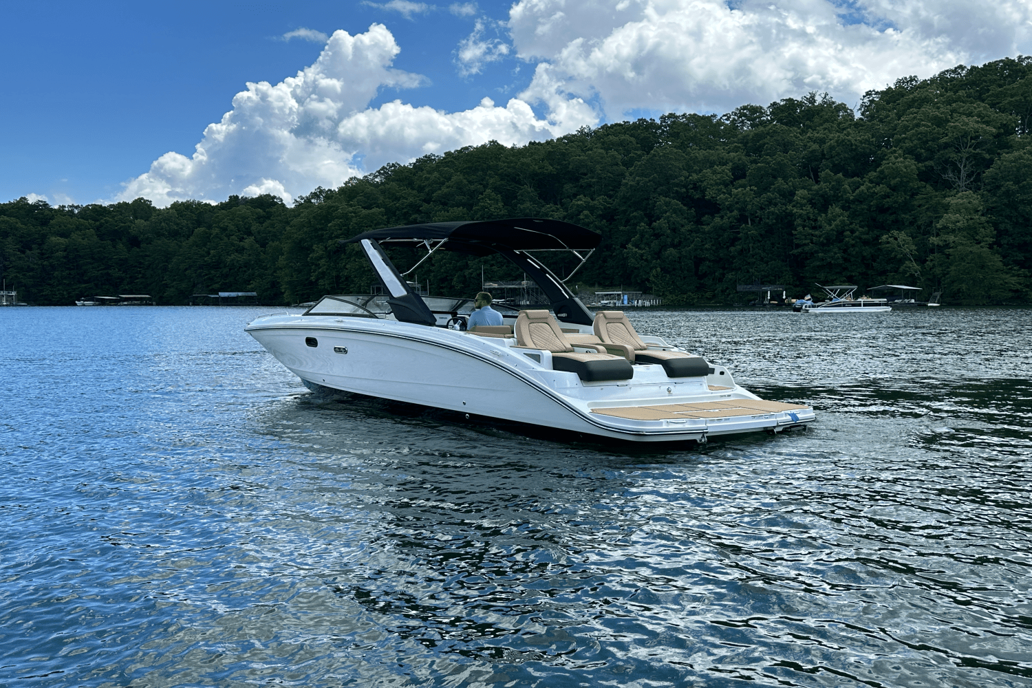 2026 Sea Ray SDX 290 Image Thumbnail #2