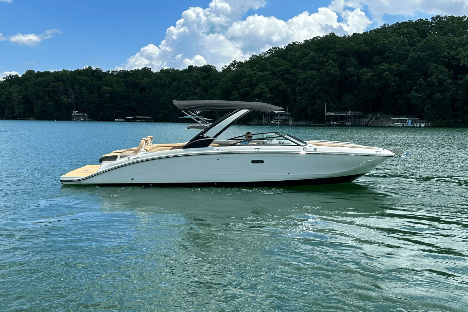 2026 Sea Ray SDX 290 Image Thumbnail #9