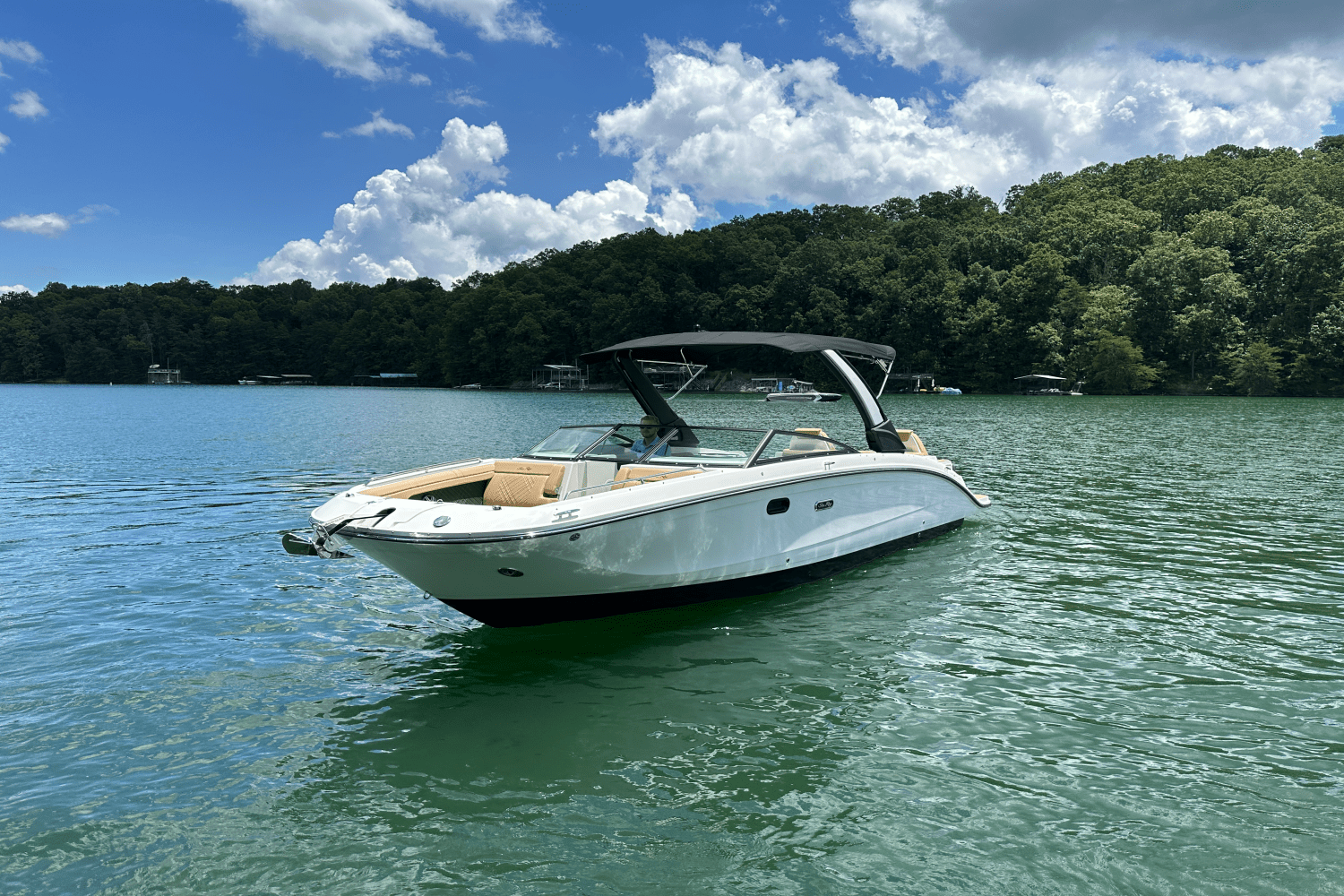 2026 Sea Ray SDX 290 Image Thumbnail #14