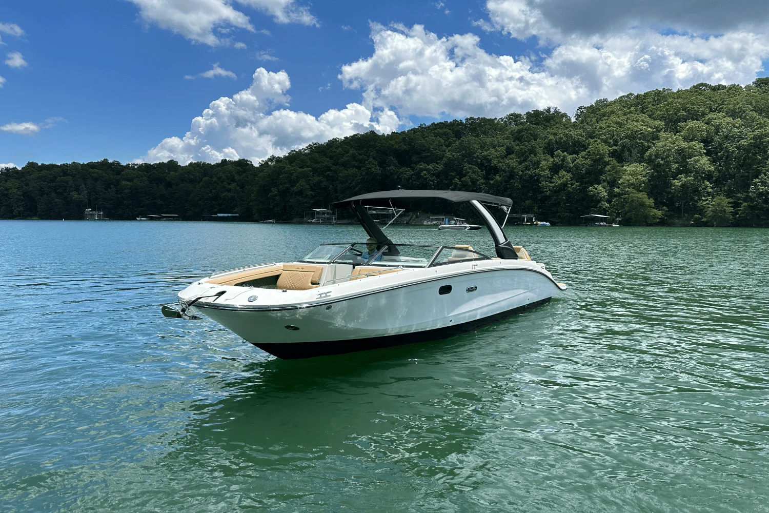 2026 Sea Ray SDX 290 Image Thumbnail #14