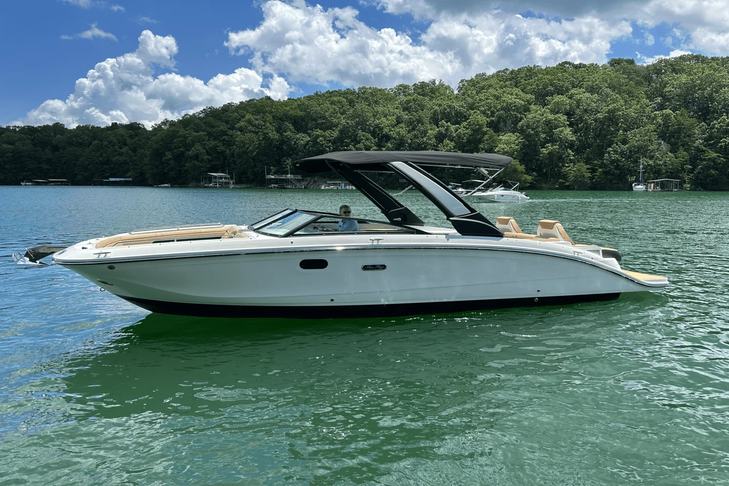 2026 Sea Ray SDX 290 Image Thumbnail #17