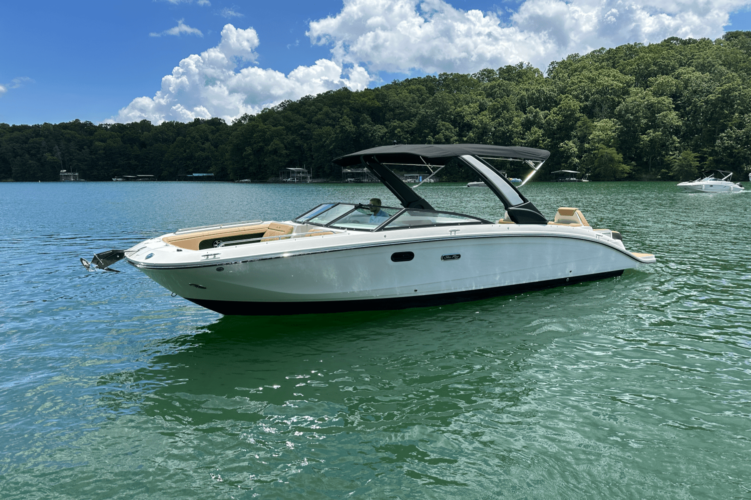 2026 Sea Ray SDX 290 Image Thumbnail #15