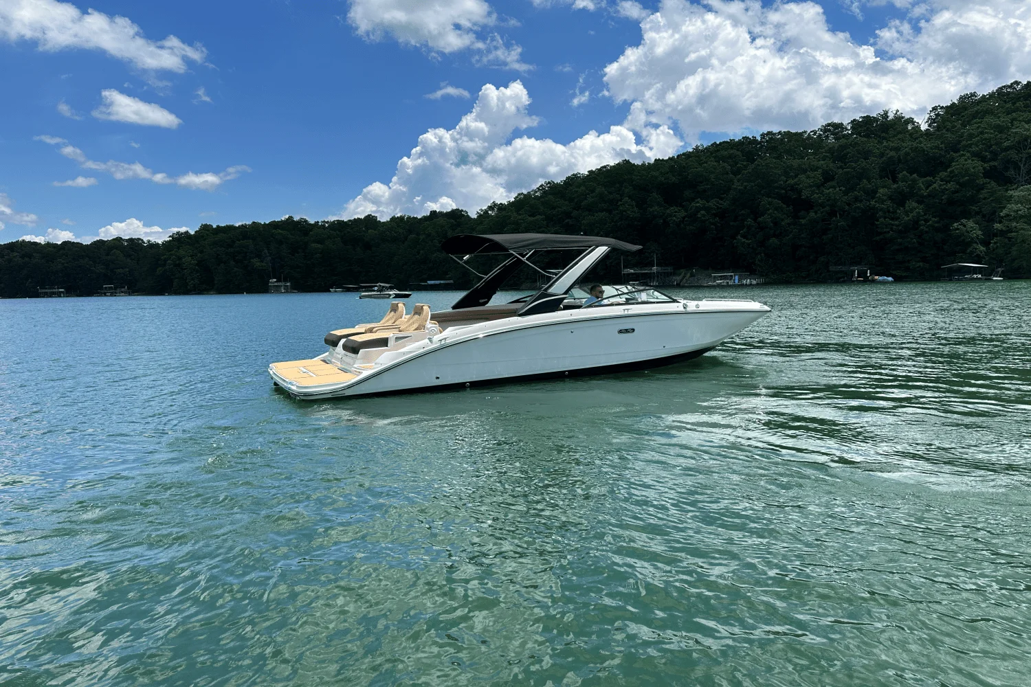 2026 Sea Ray SDX 290 Image Thumbnail #7