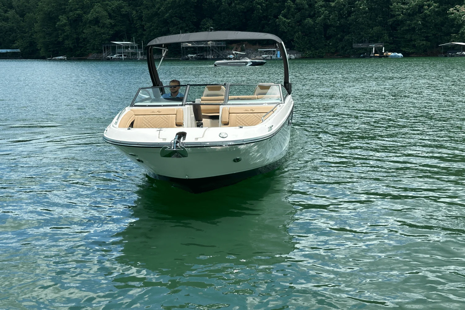 2026 Sea Ray SDX 290 Image Thumbnail #12