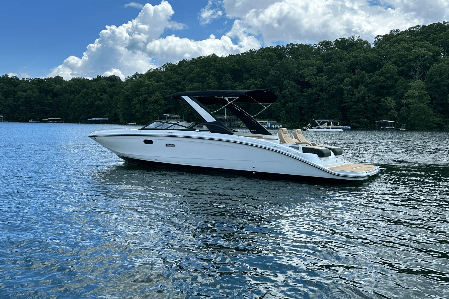 2026 Sea Ray SDX 290 Image Thumbnail #1