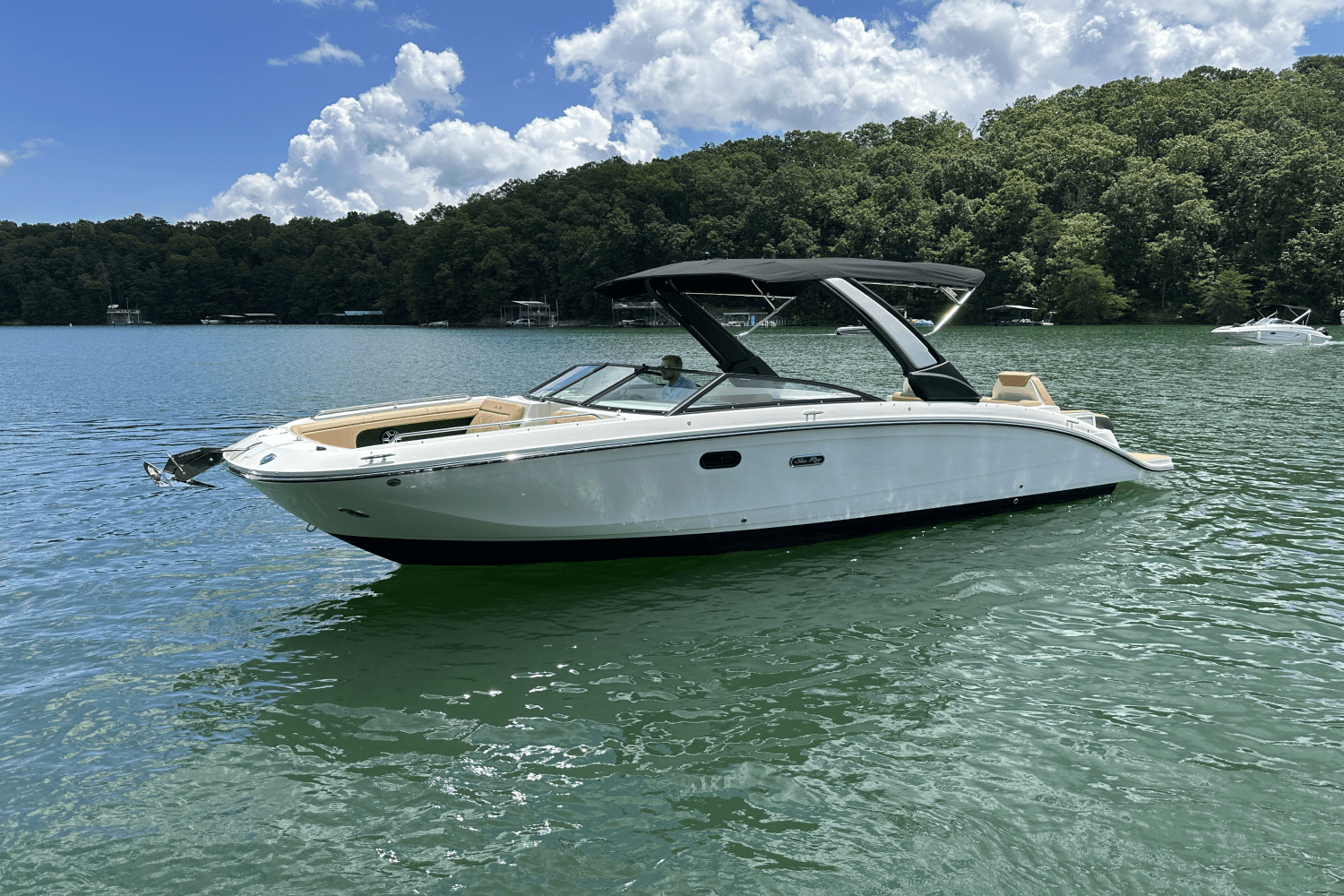 2026 Sea Ray SDX 290 Image Thumbnail #15