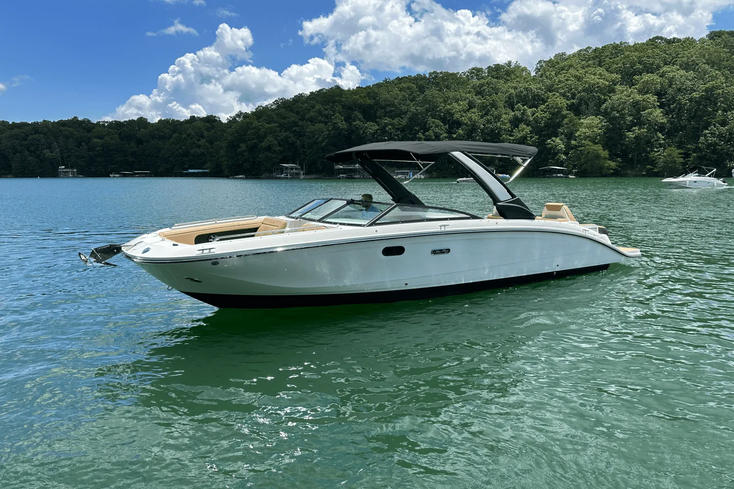 2026 Sea Ray SDX 290 Image Thumbnail #15