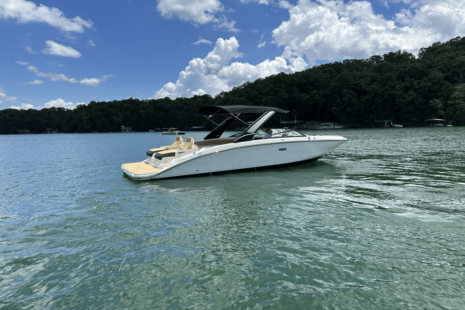 2026 Sea Ray SDX 290 Image Thumbnail #7