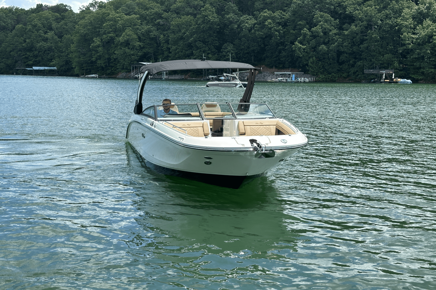 2026 Sea Ray SDX 290 Image Thumbnail #11