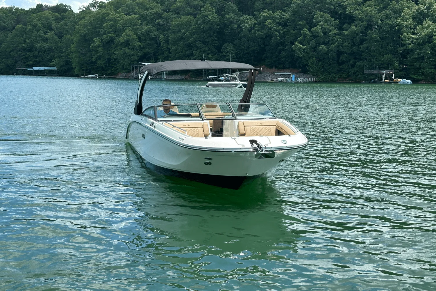 2026 Sea Ray SDX 290 Image Thumbnail #11