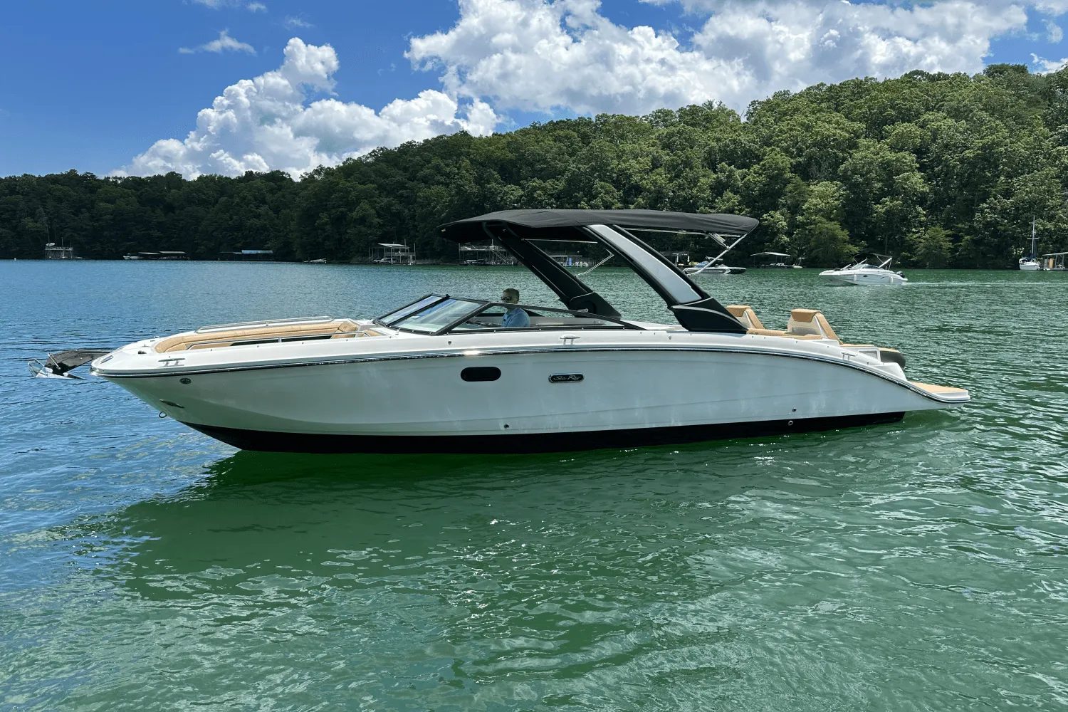 2026 Sea Ray SDX 290 Image Thumbnail #16