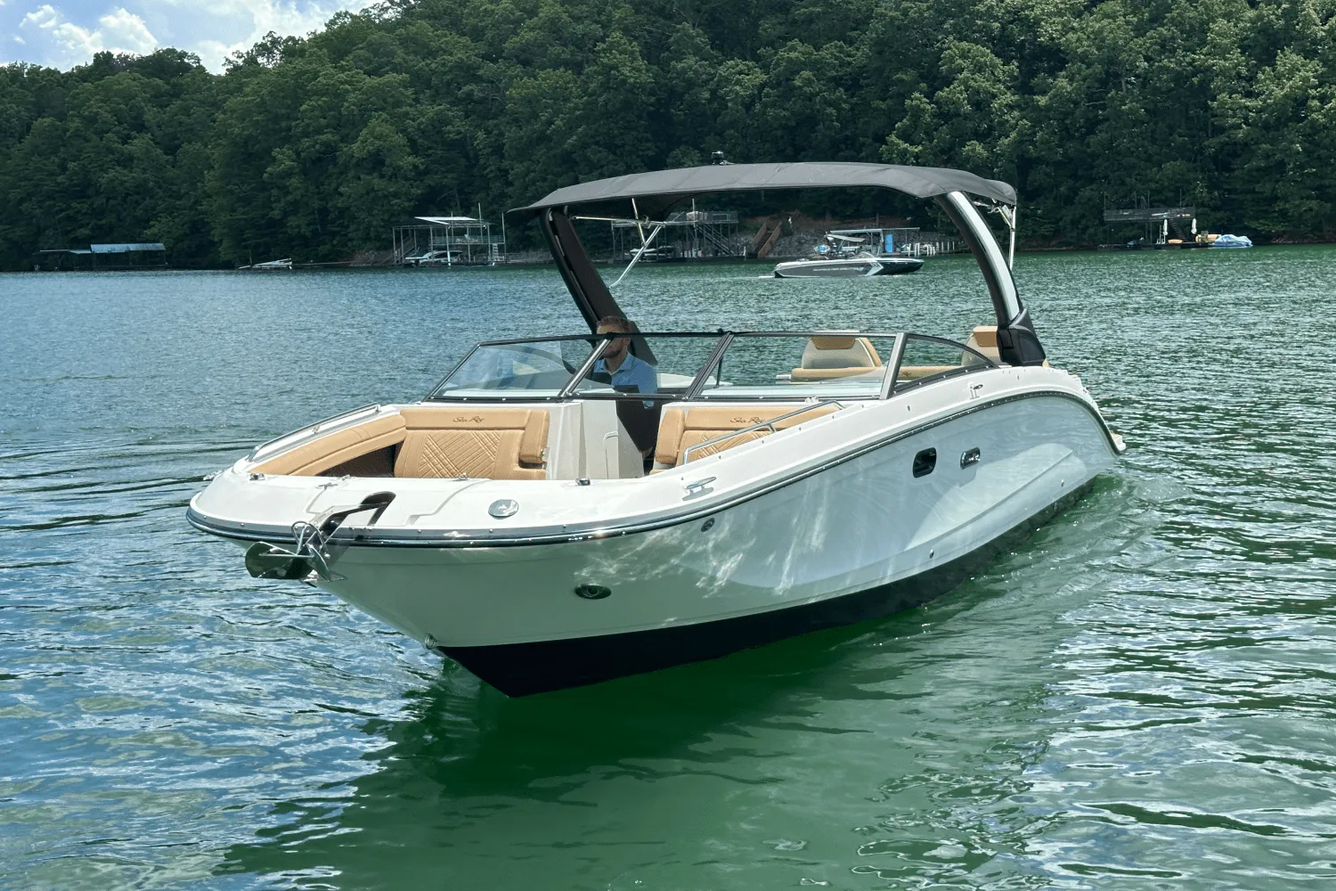 2026 Sea Ray SDX 290 Image Thumbnail #13