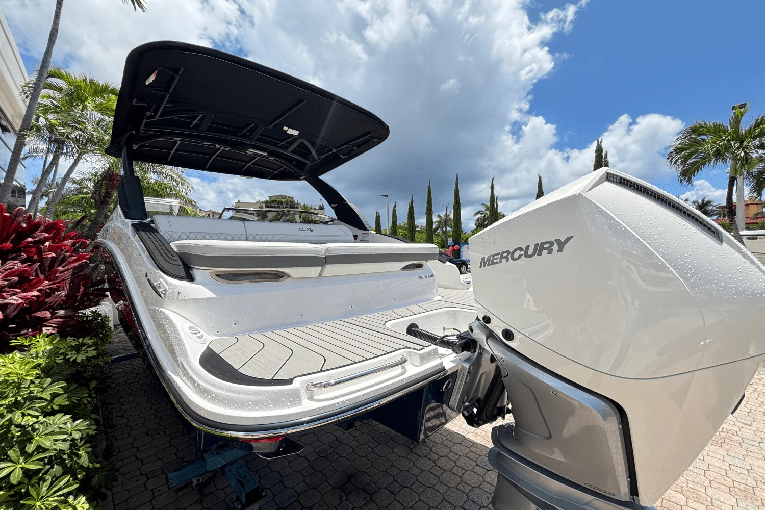 2025 Sea Ray SLX 260 Outboard Image Thumbnail #5