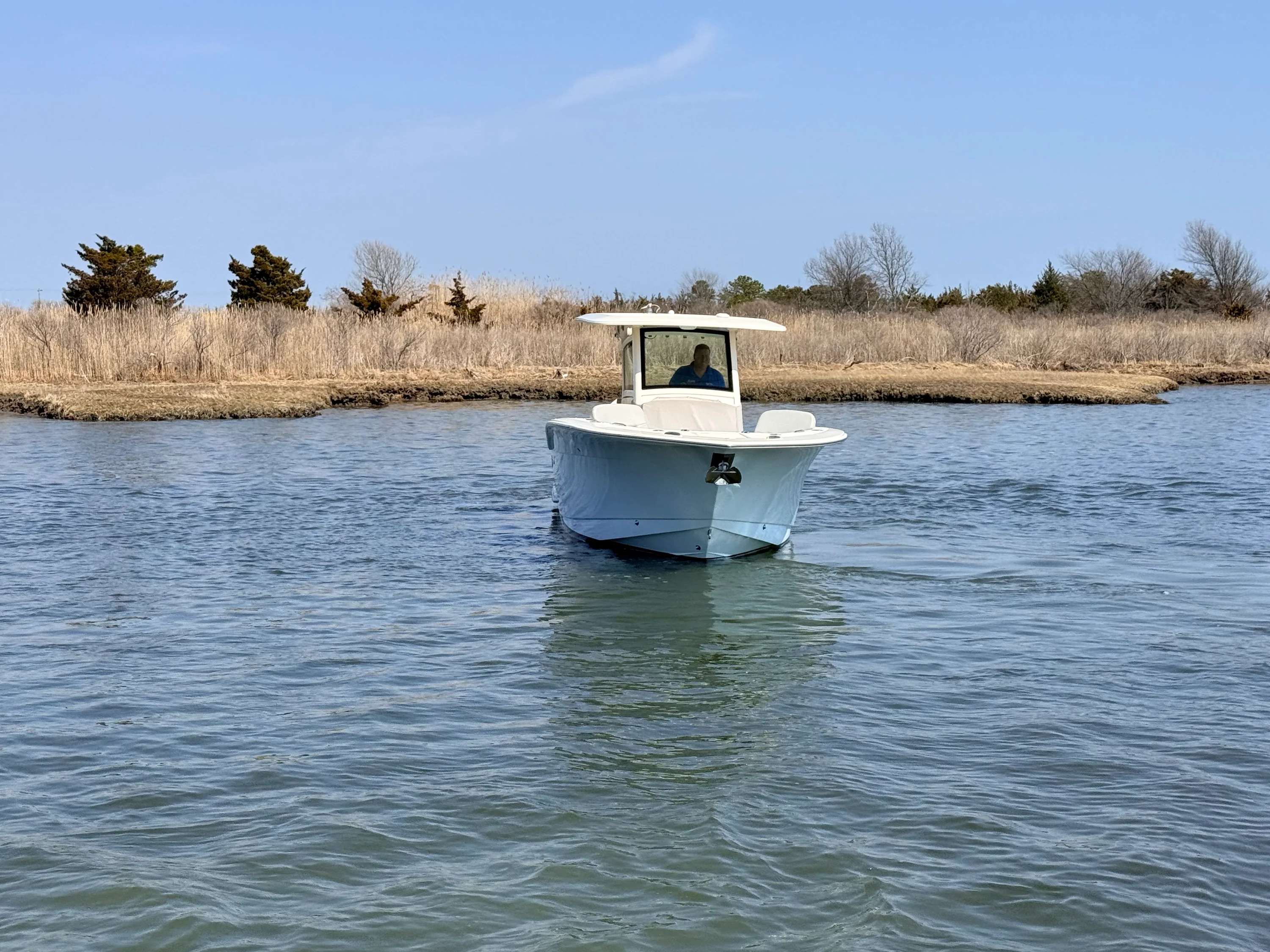 2023 Scout 305 LXF Image Thumbnail #6