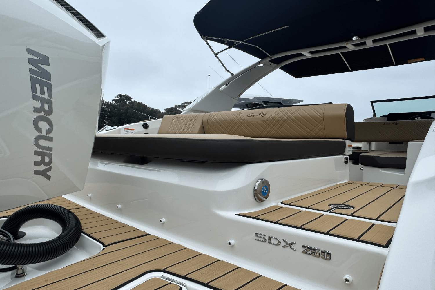 2025 Sea Ray SDX 250 Outboard Image Thumbnail #8