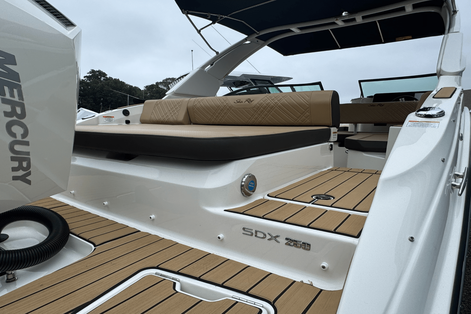 2025 Sea Ray SDX 250 Outboard Image Thumbnail #4