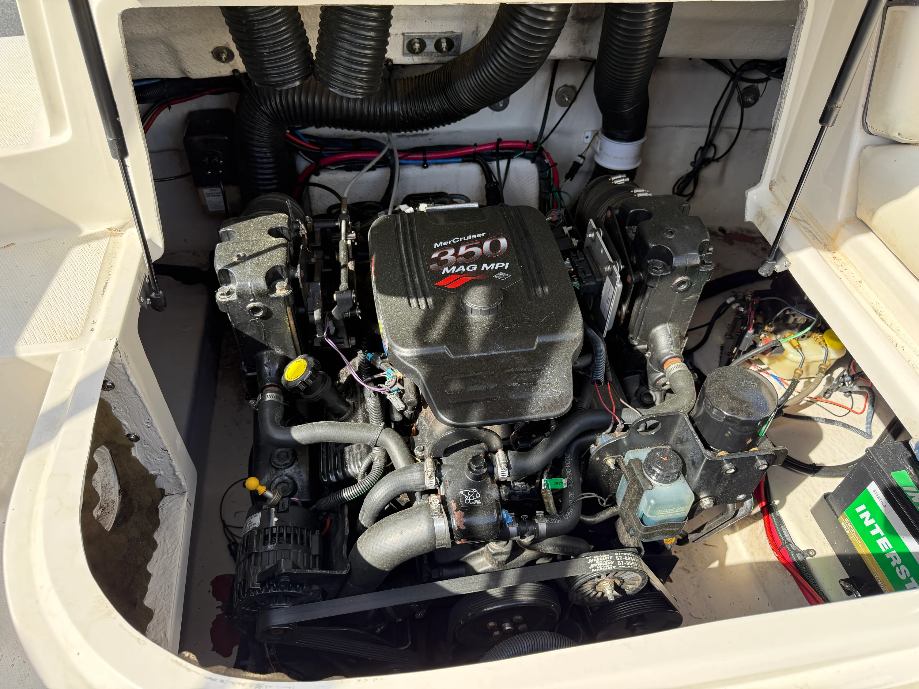 2005 Sea Ray 240 Sundeck Image Thumbnail #18