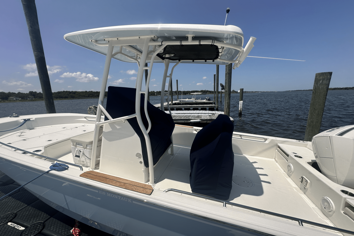 2023 Boston Whaler 210 MONTAUK Image Thumbnail #14