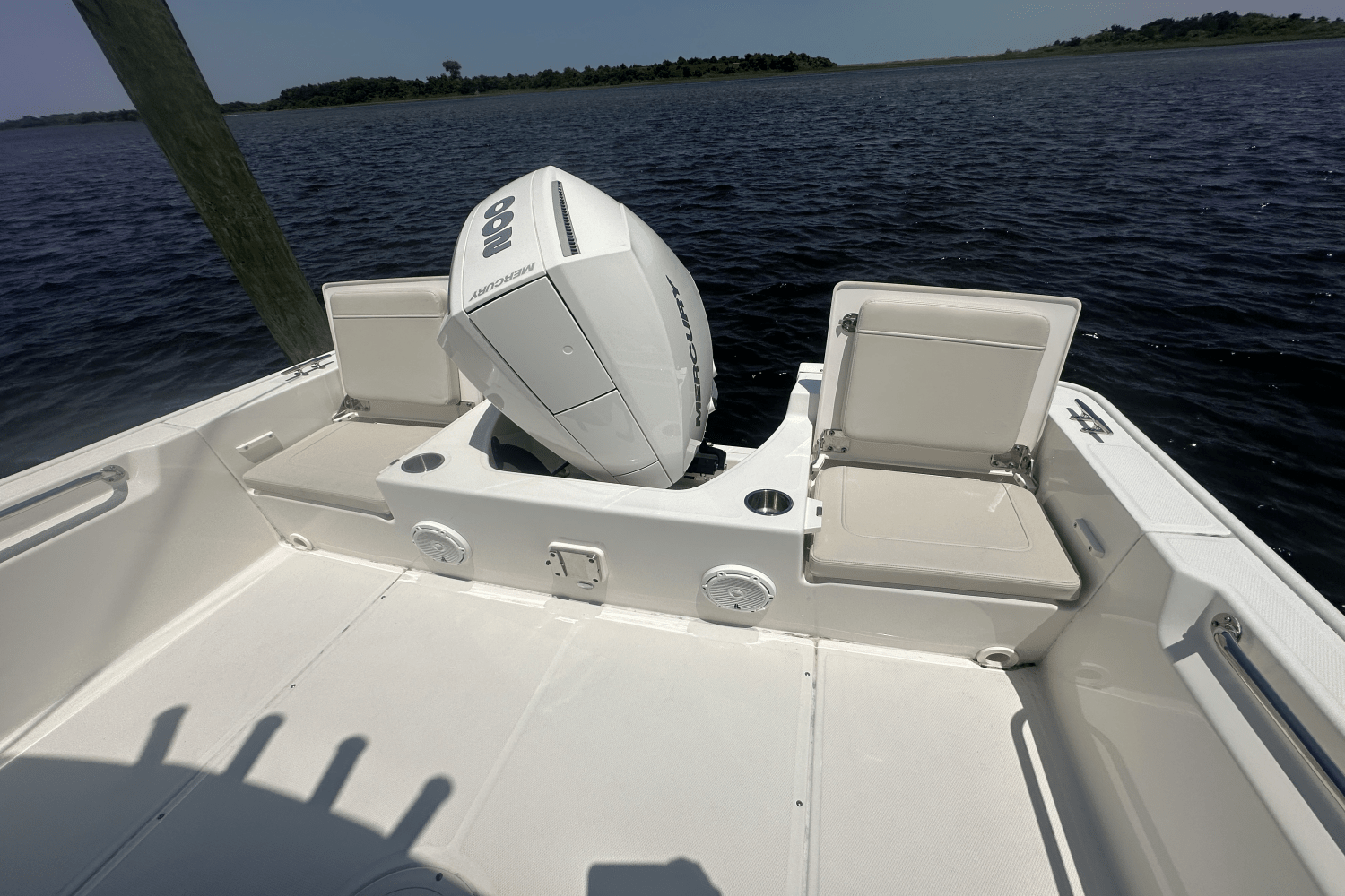 2023 Boston Whaler 210 MONTAUK Image Thumbnail #11