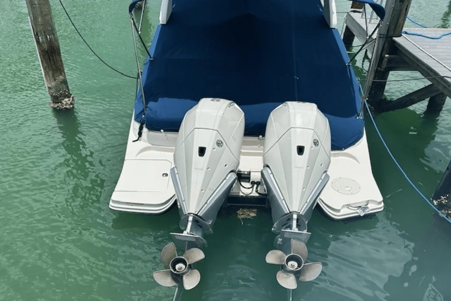 2019 Sea Ray 290 SDX OB Image Thumbnail #15