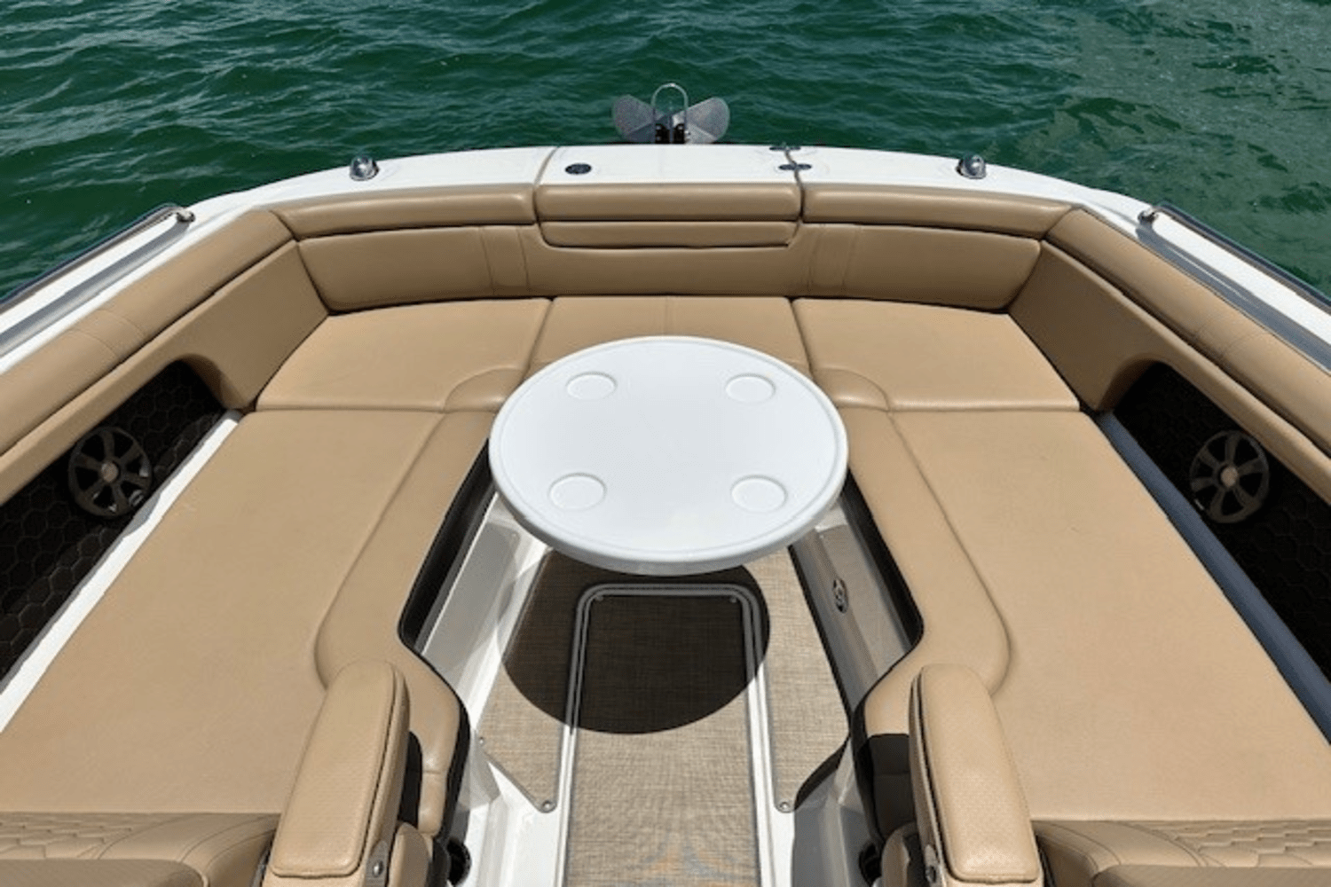 2019 Sea Ray 290 SDX OB Image Thumbnail #11