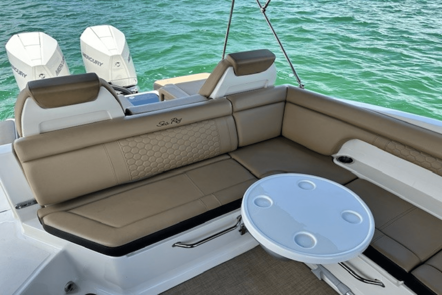 2019 Sea Ray 290 SDX OB Image Thumbnail #8