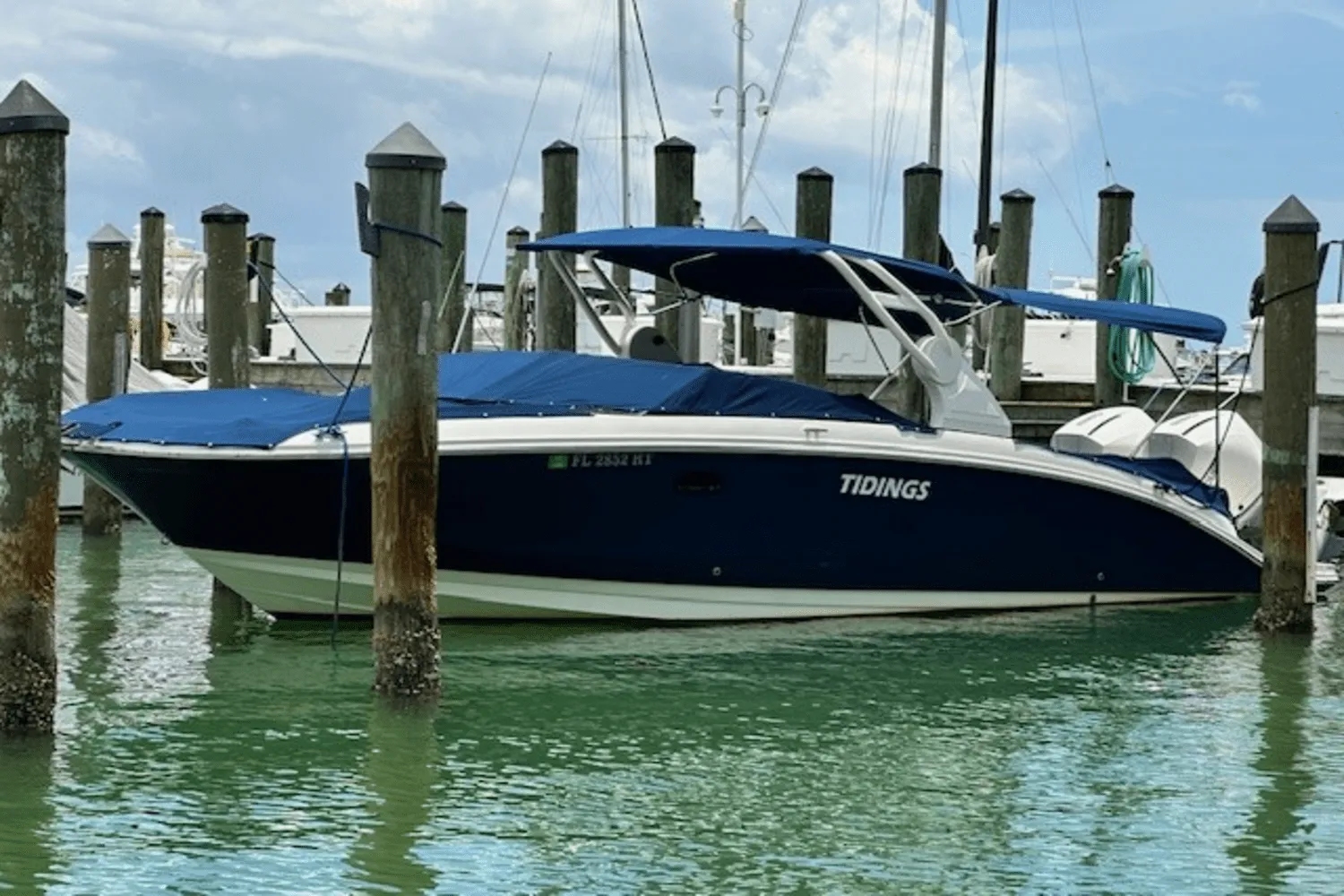 2019 Sea Ray 290 SDX OB Image Thumbnail #0