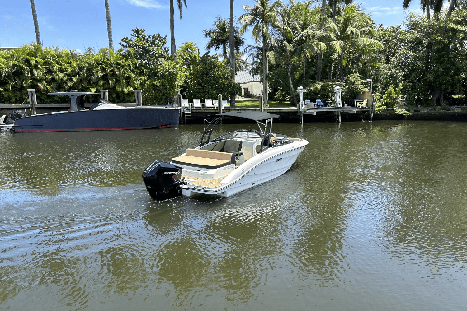 2025 Sea Ray SPX 210 Outboard Image Thumbnail #7