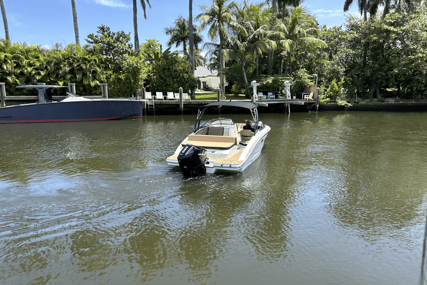 2025 Sea Ray SPX 210 Outboard Image Thumbnail #3