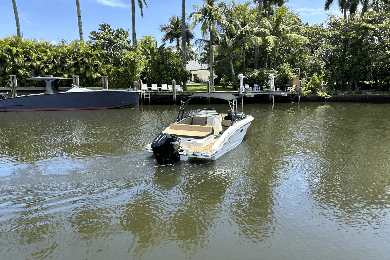 2025 Sea Ray SPX 210 Outboard Image Thumbnail #6