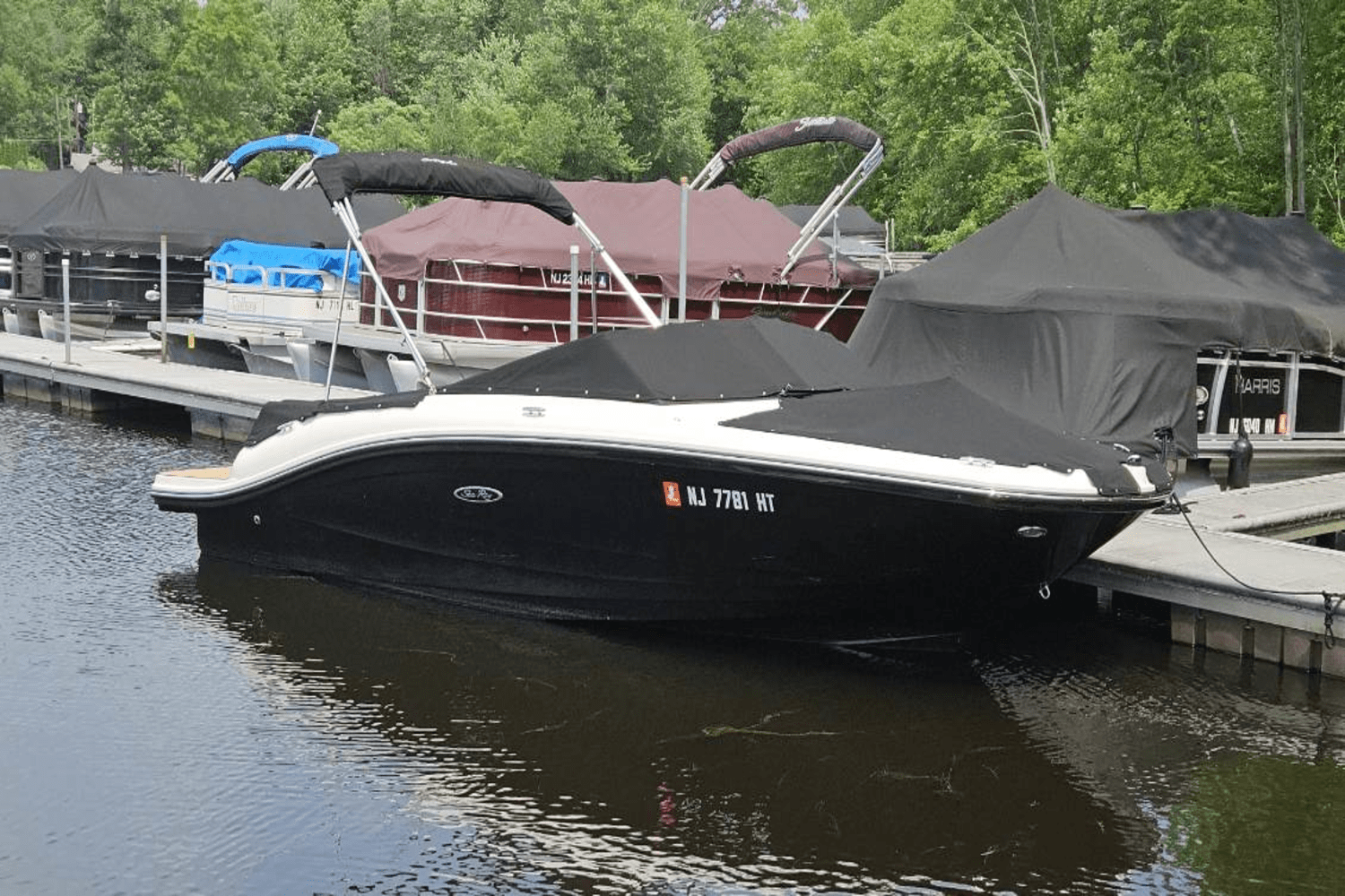 2023 Sea Ray SPX 190 Image Thumbnail #4