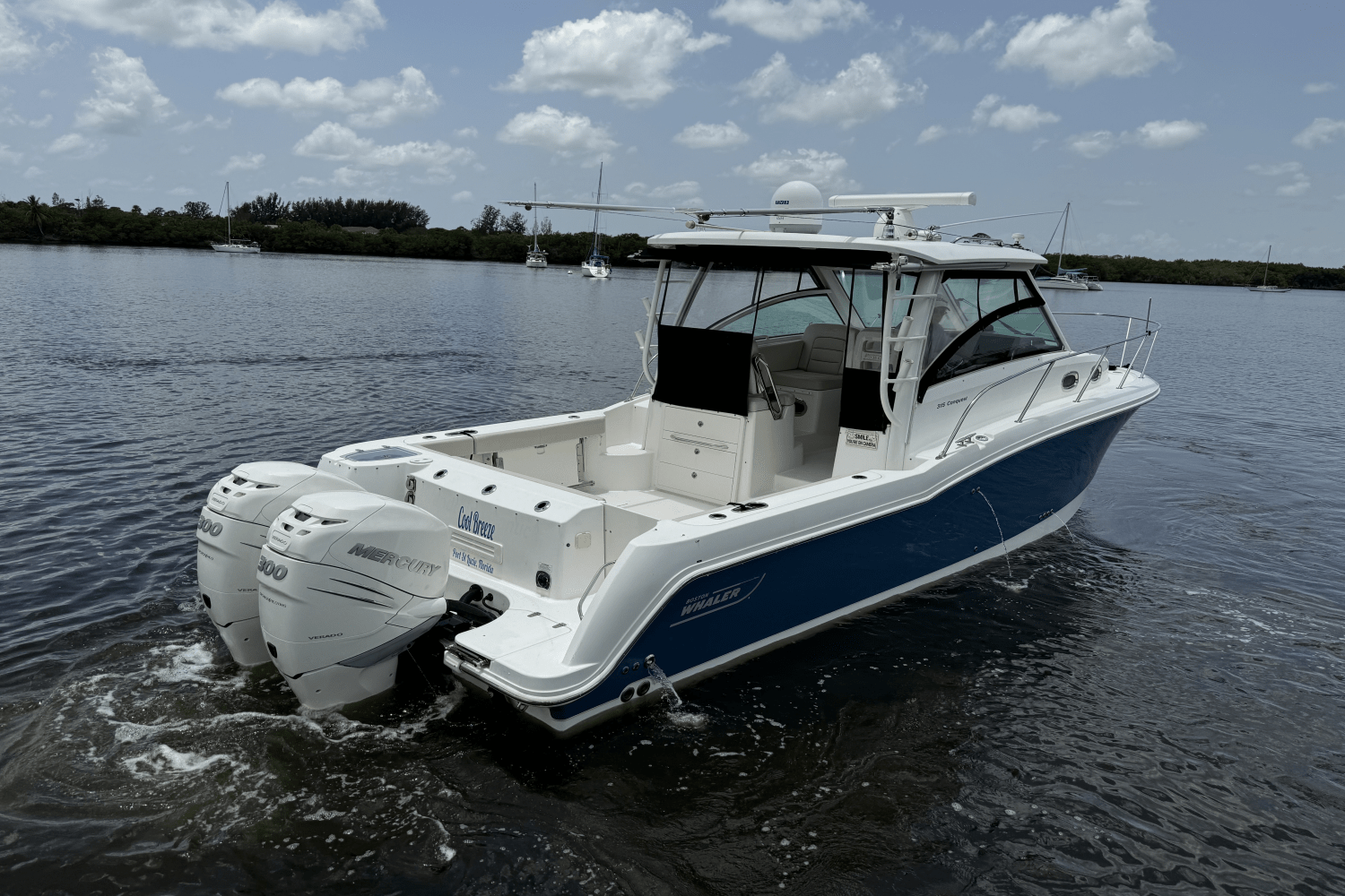 2016 Boston Whaler 315 CONQUEST Image Thumbnail #14