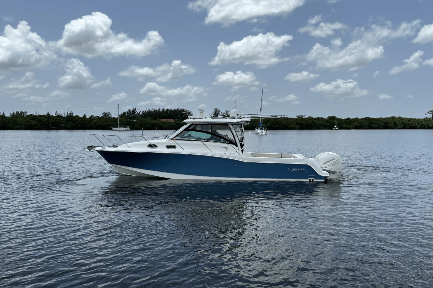 2016 Boston Whaler 315 CONQUEST Image Thumbnail #8