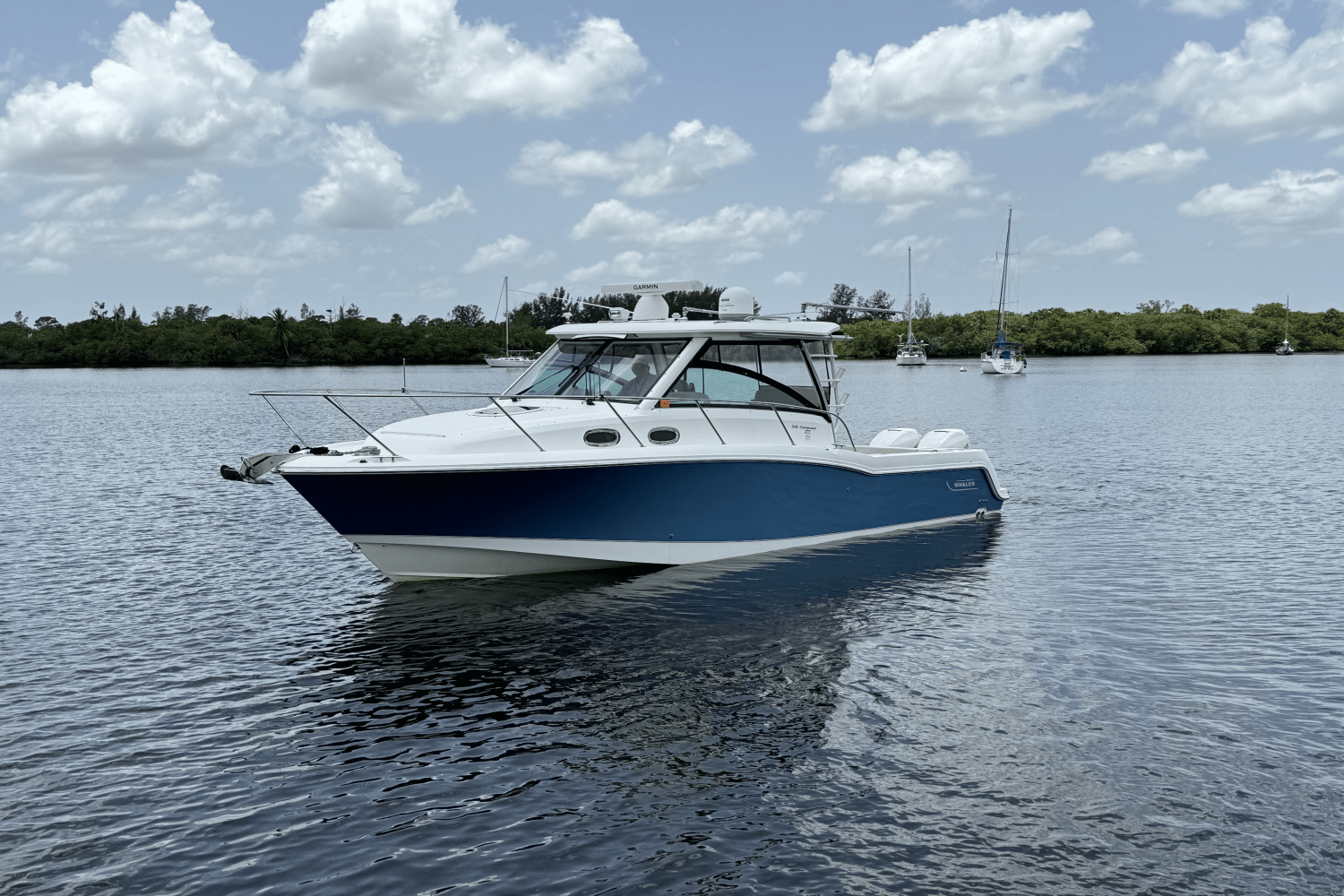 2016 Boston Whaler 315 CONQUEST Image Thumbnail #5