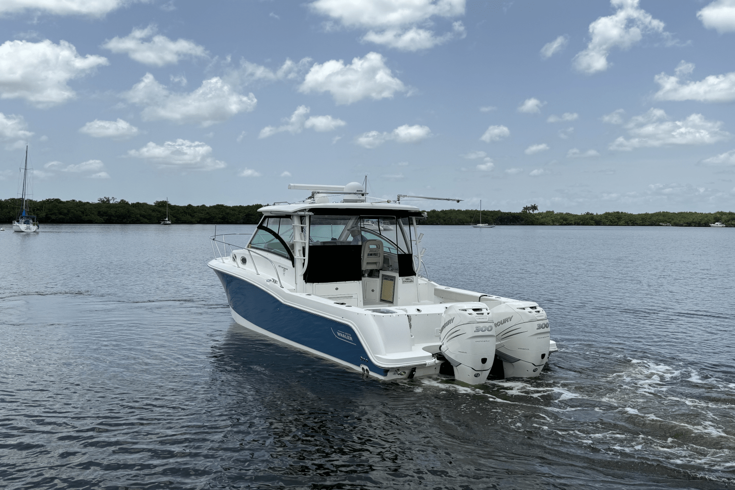 2016 Boston Whaler 315 CONQUEST Image Thumbnail #9