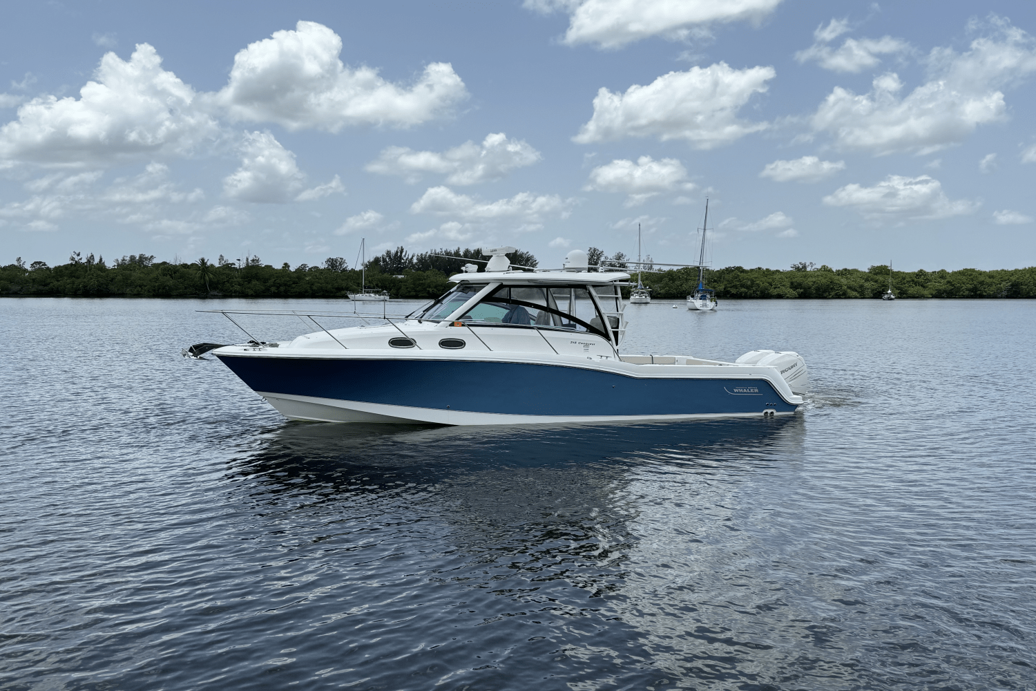 2016 Boston Whaler 315 CONQUEST Image Thumbnail #7