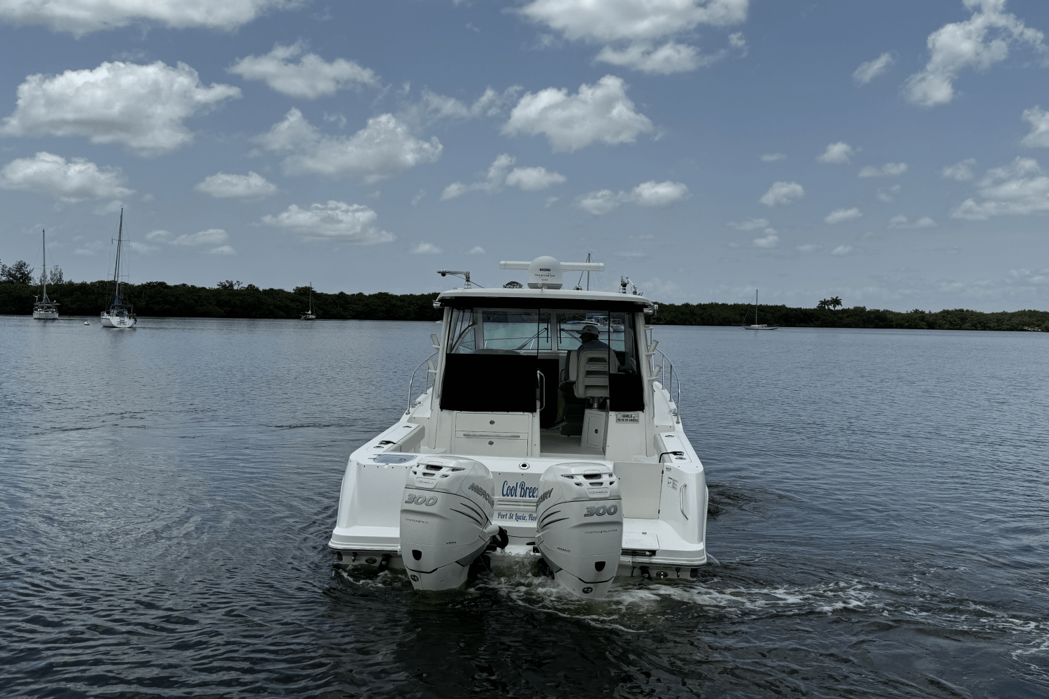 2016 Boston Whaler 315 CONQUEST Image Thumbnail #11