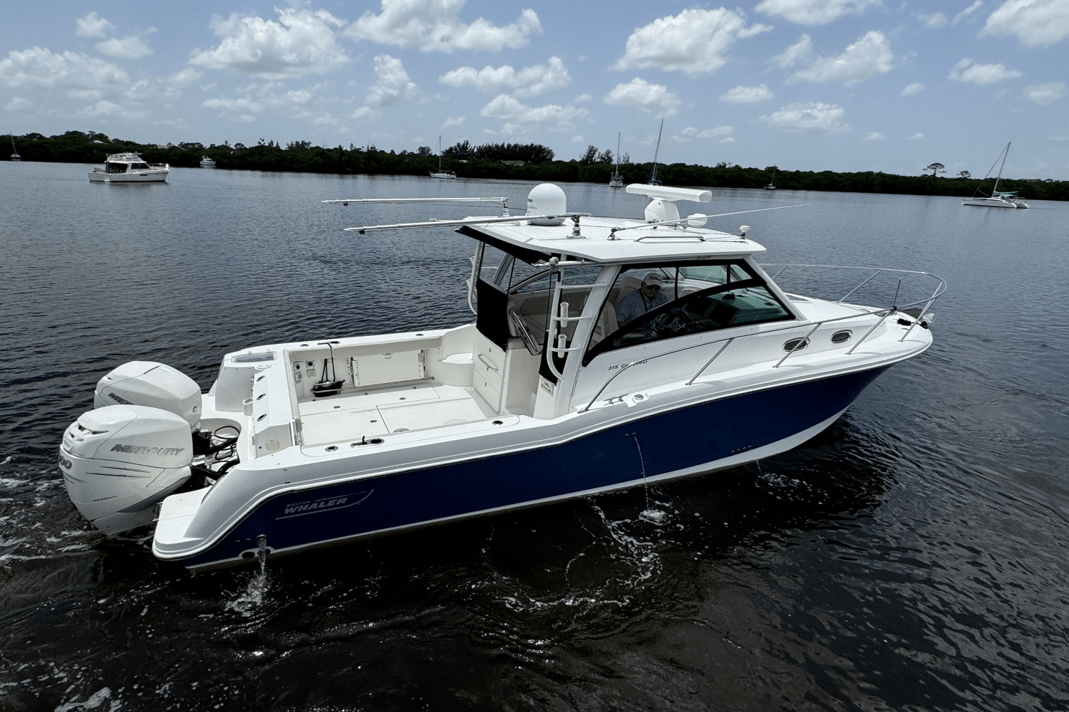 2016 Boston Whaler 315 CONQUEST Image Thumbnail #15