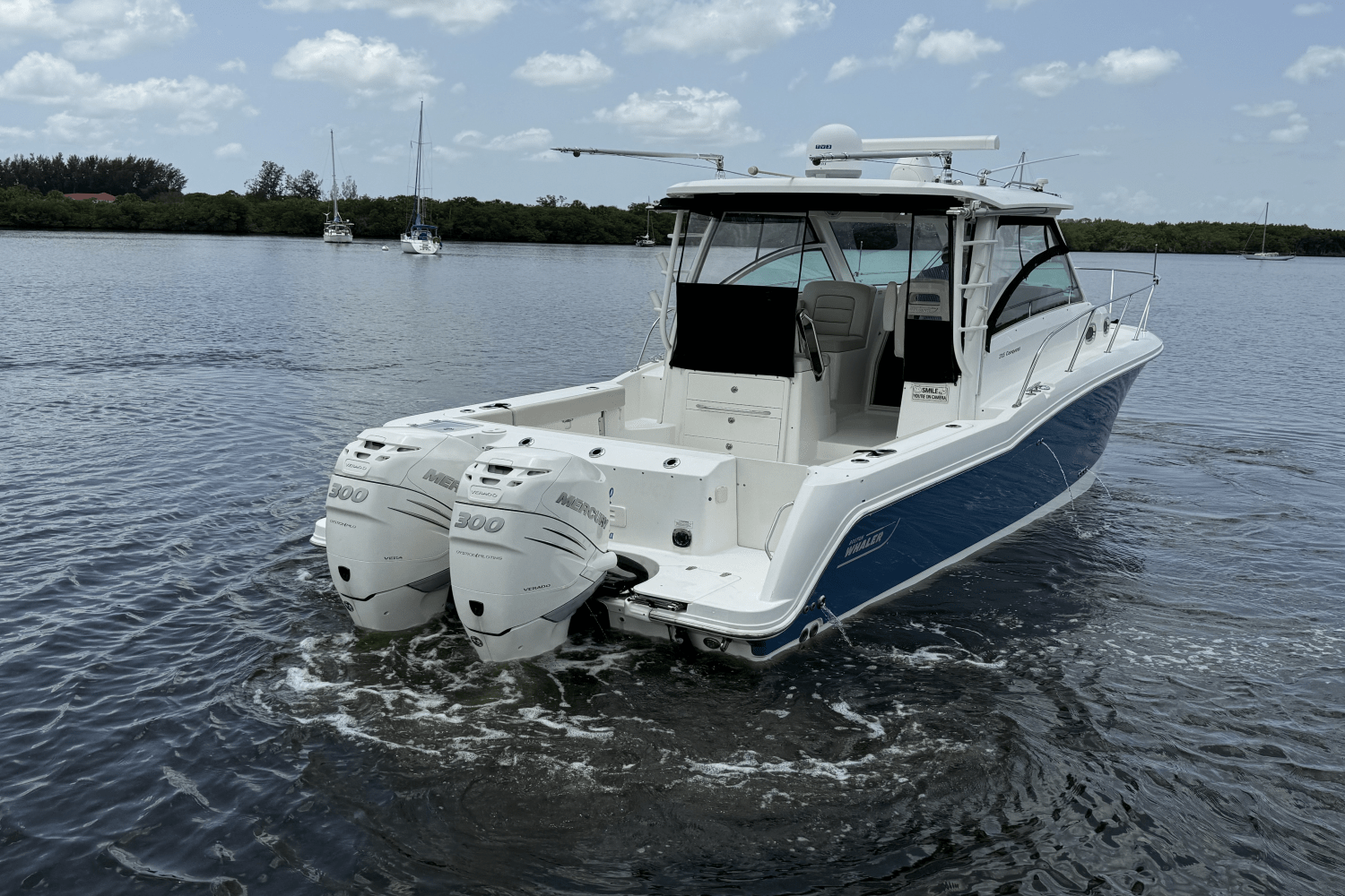 2016 Boston Whaler 315 CONQUEST Image Thumbnail #13