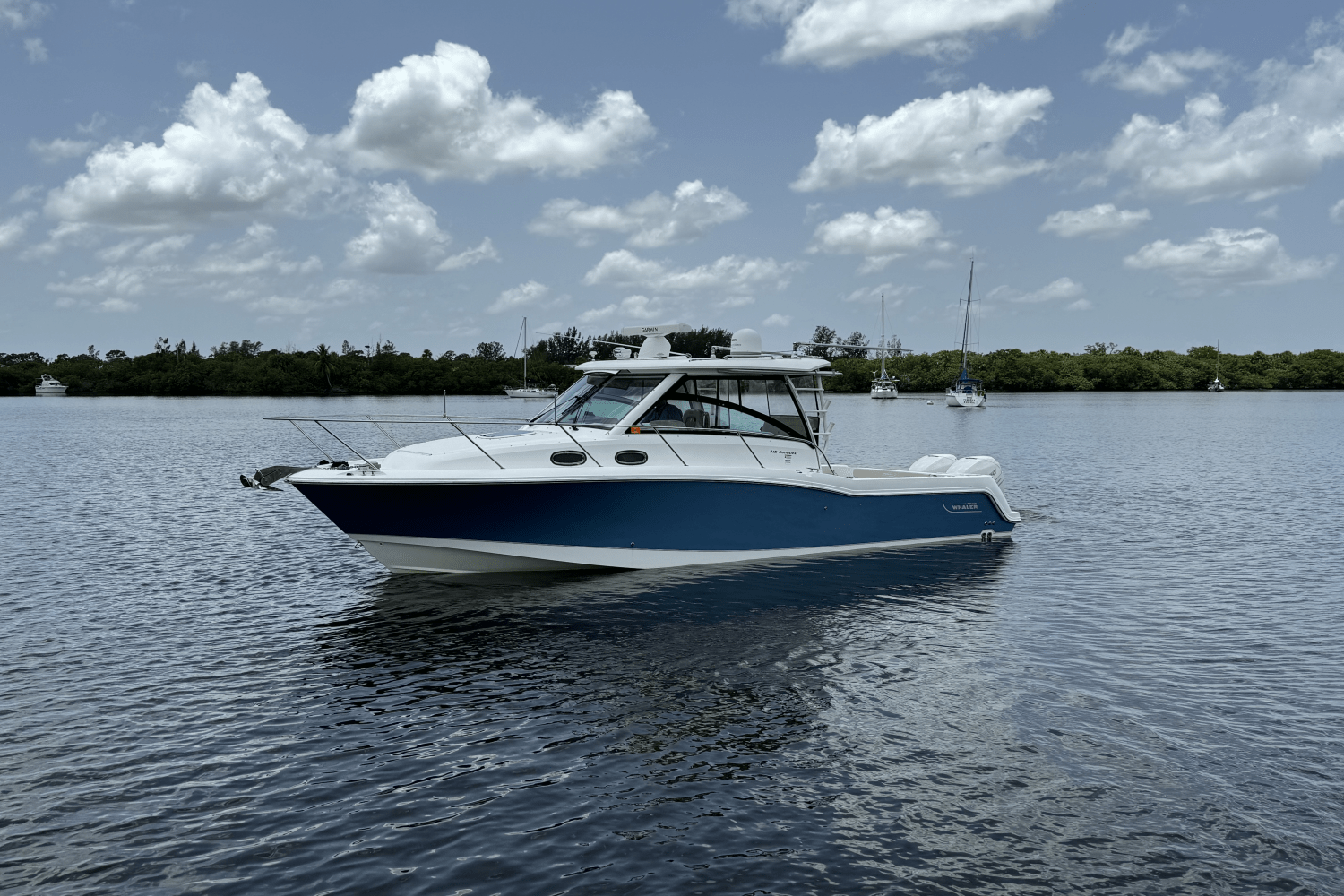 2016 Boston Whaler 315 CONQUEST Image Thumbnail #6