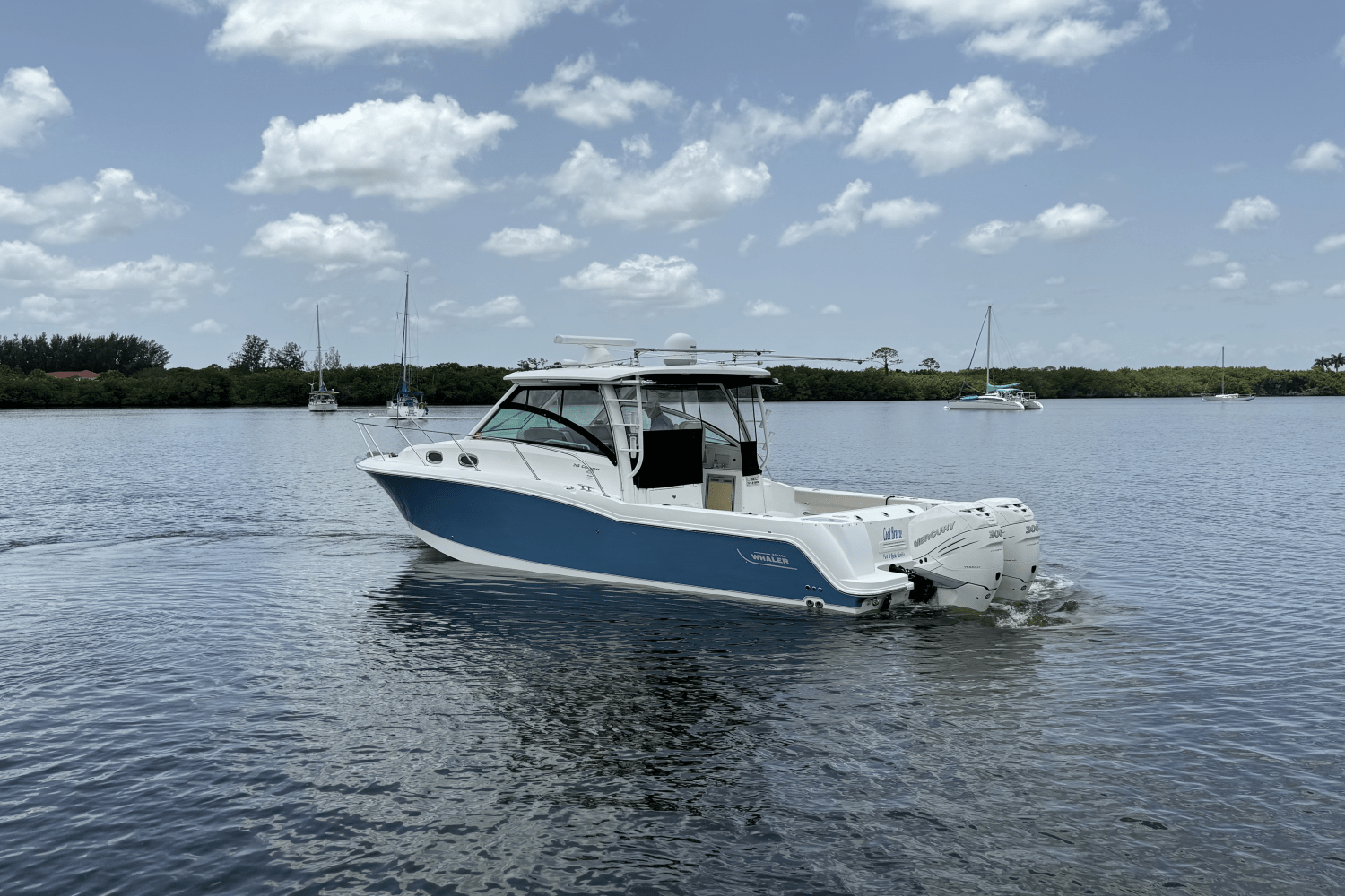 2016 Boston Whaler 315 CONQUEST Image Thumbnail #1