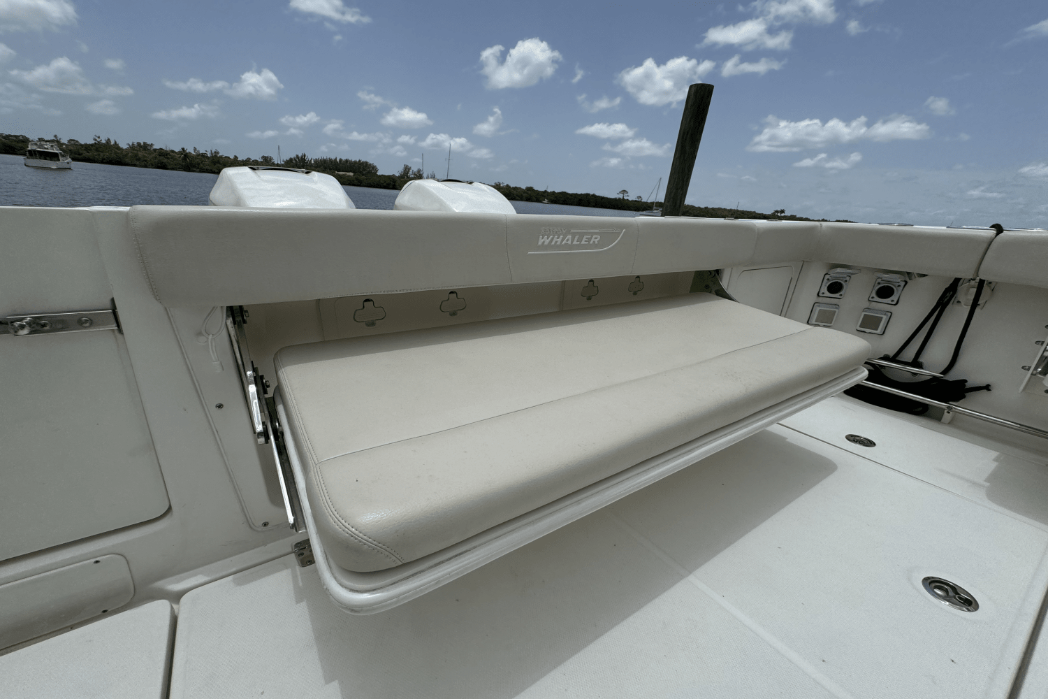 2016 Boston Whaler 315 CONQUEST Image Thumbnail #45