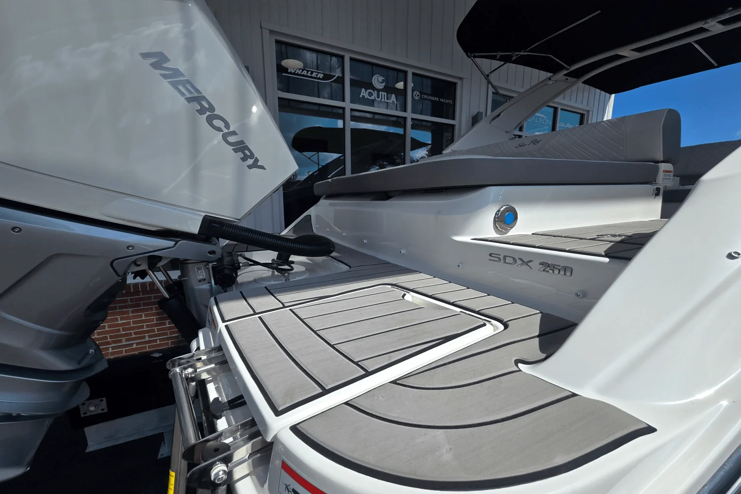 2025 Sea Ray SDX 250 Outboard Image Thumbnail #9