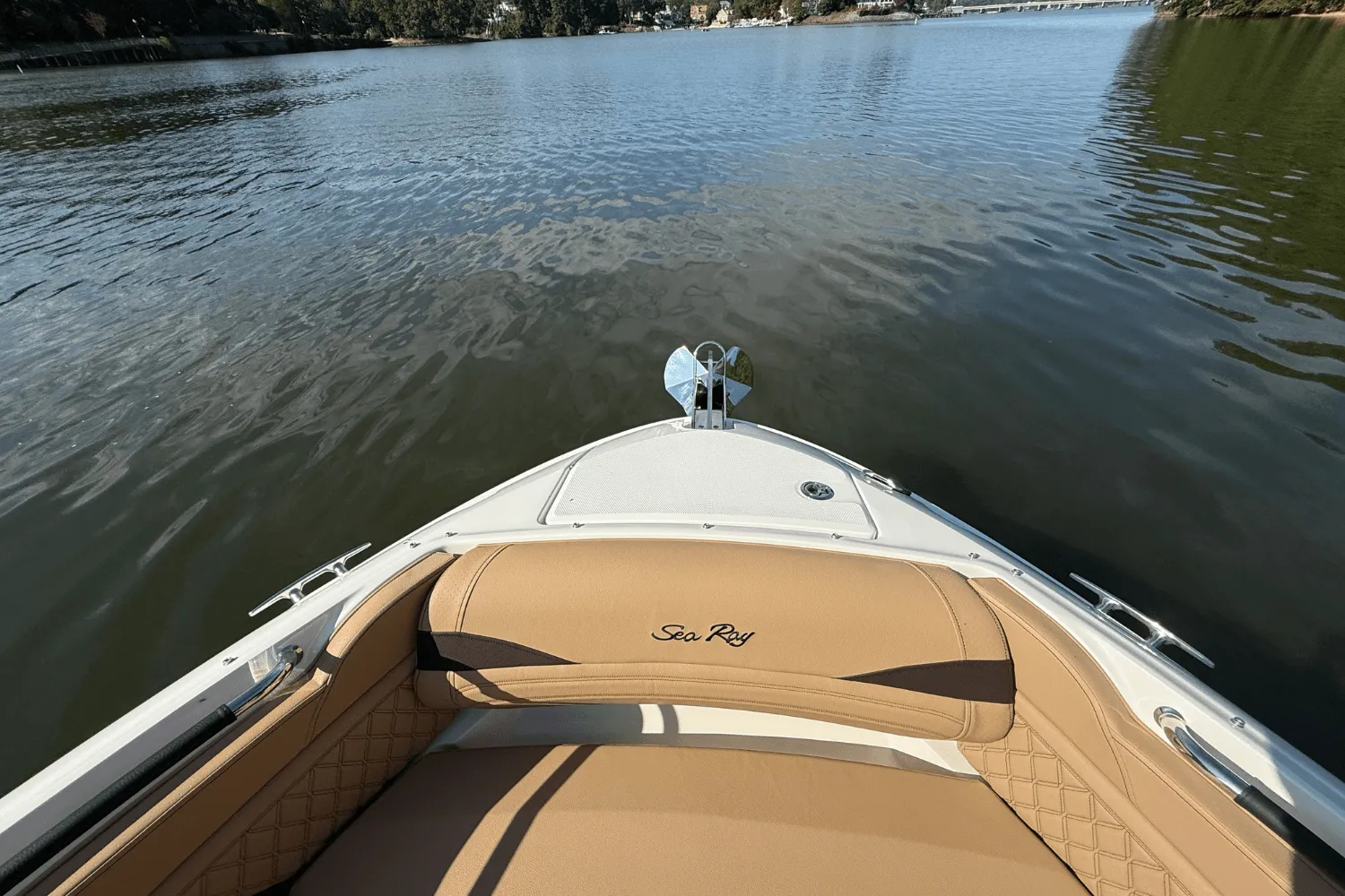 2026 Sea Ray SLX 260 Image Thumbnail #39