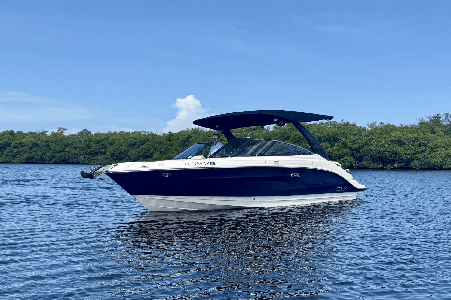 2023 Sea Ray 260 SXO Image Thumbnail #3