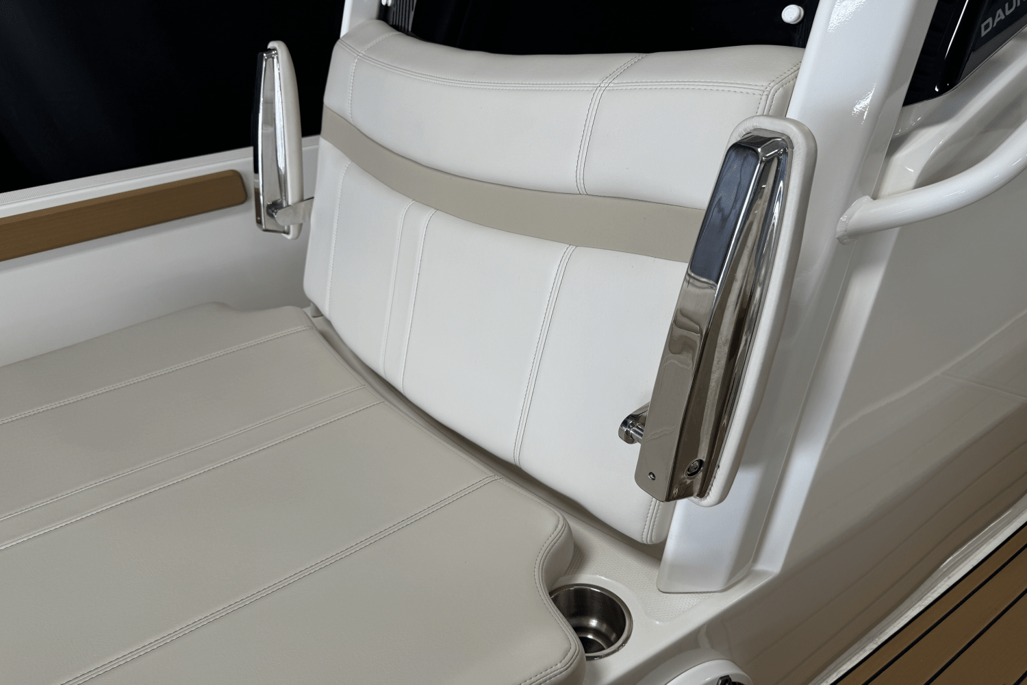 2023 Boston Whaler 250 Dauntless Image Thumbnail #69