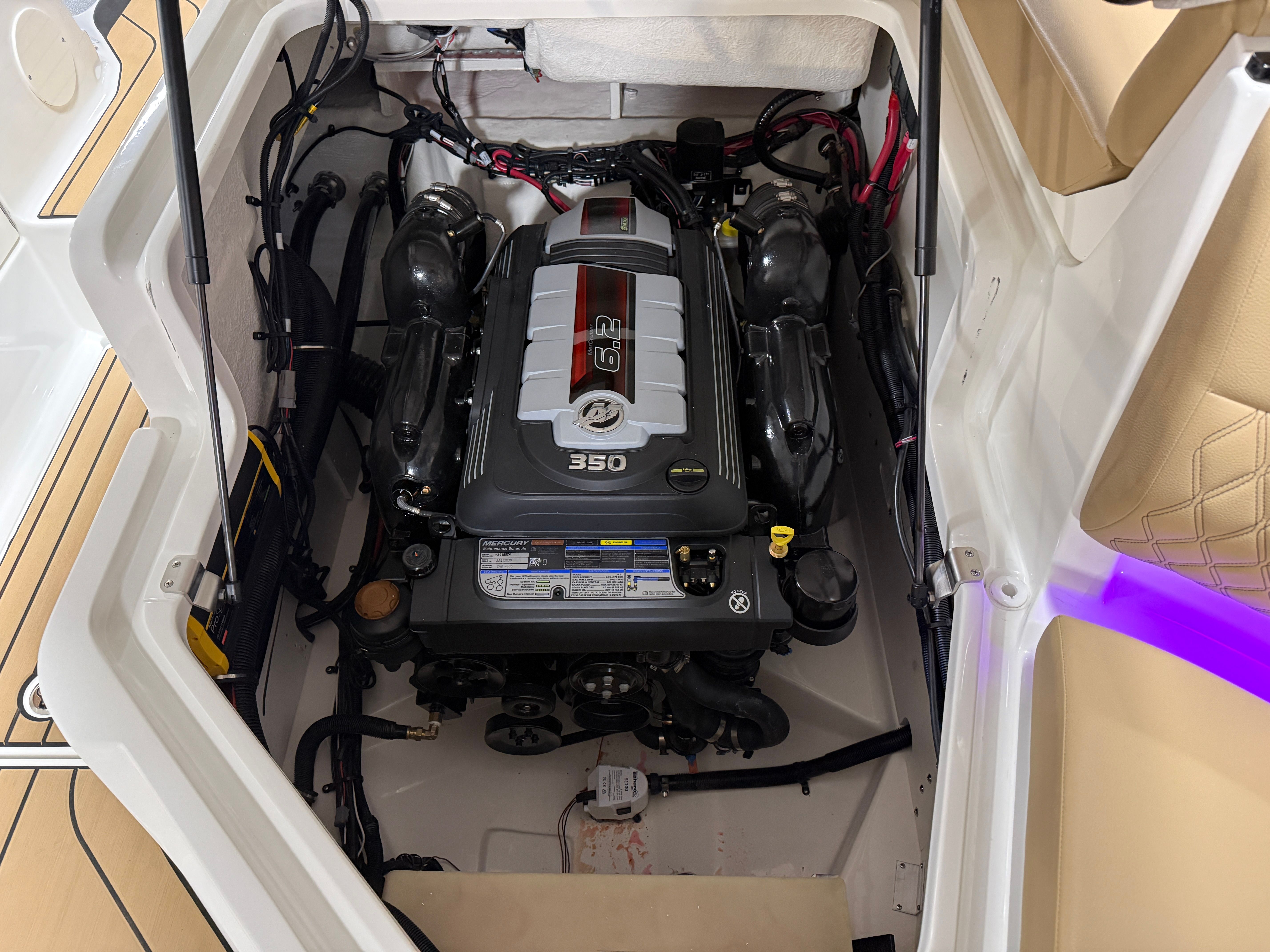 2026 Sea Ray SLX 260 Image Thumbnail #46